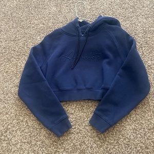 Alphalete cropped hoodie